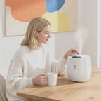 BioStudio Air One – Humidificateur en acier inoxydable