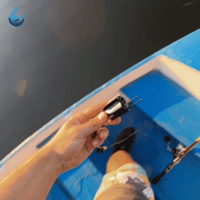 BioStudio Vision-Pro